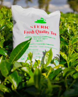 Steric Fresh Quality Tea 500gms